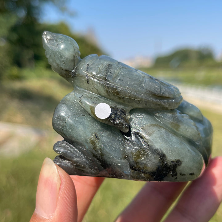 Unique,A Slightly Imperfect Natural Crystal Labradorite Sea Turtle