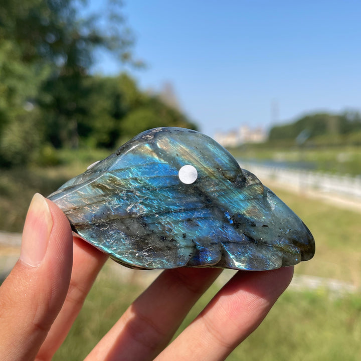 Unique,A Slightly Imperfect Natural Crystal Labradorite Sea Turtle