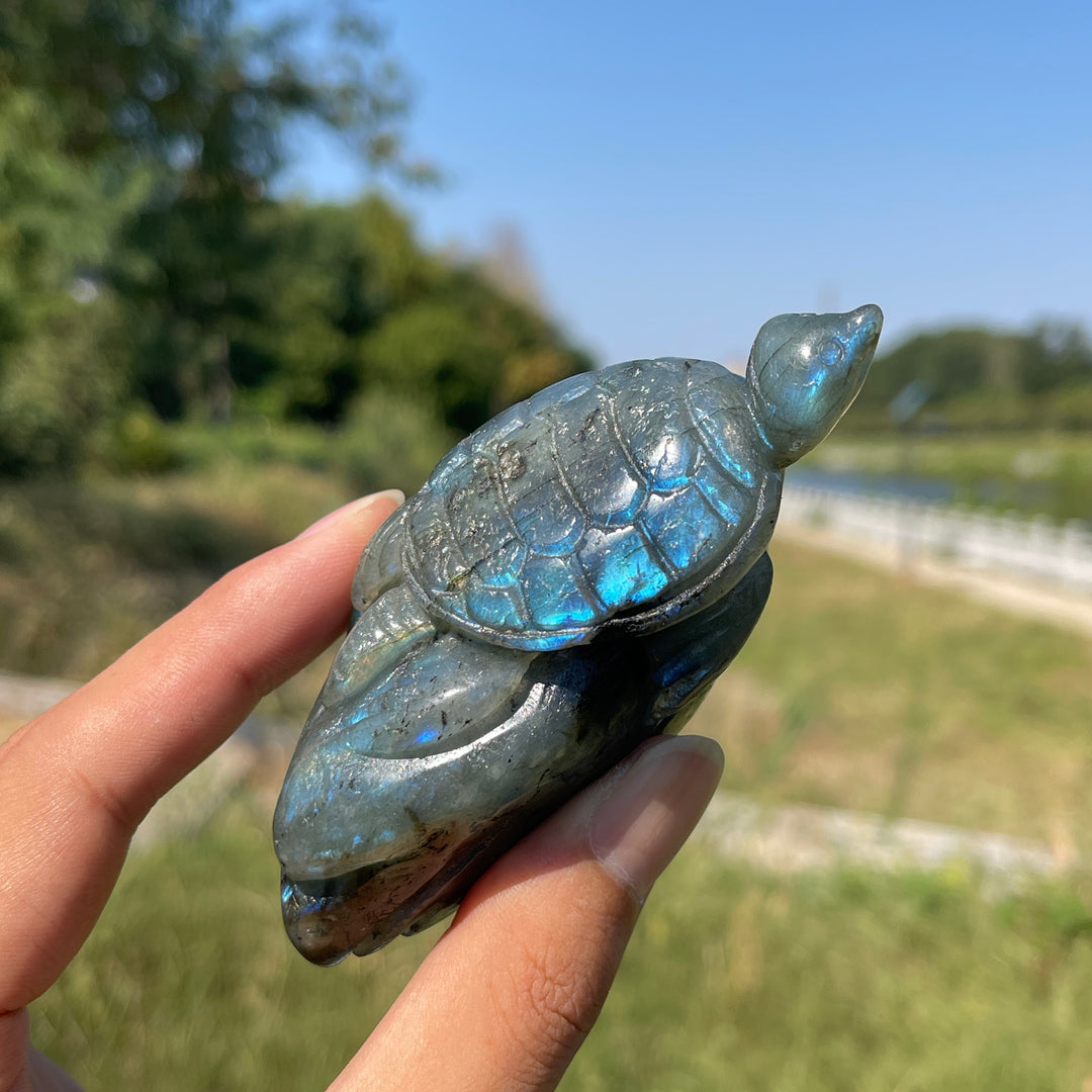 Unique,A Slightly Imperfect Natural Crystal Labradorite Sea Turtle