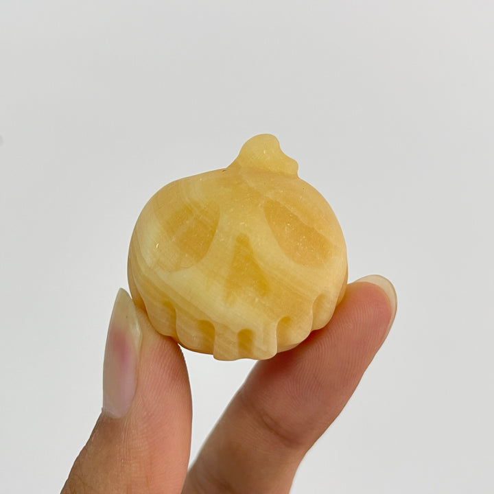 Natural Crystal Carving Poison Apple Skull