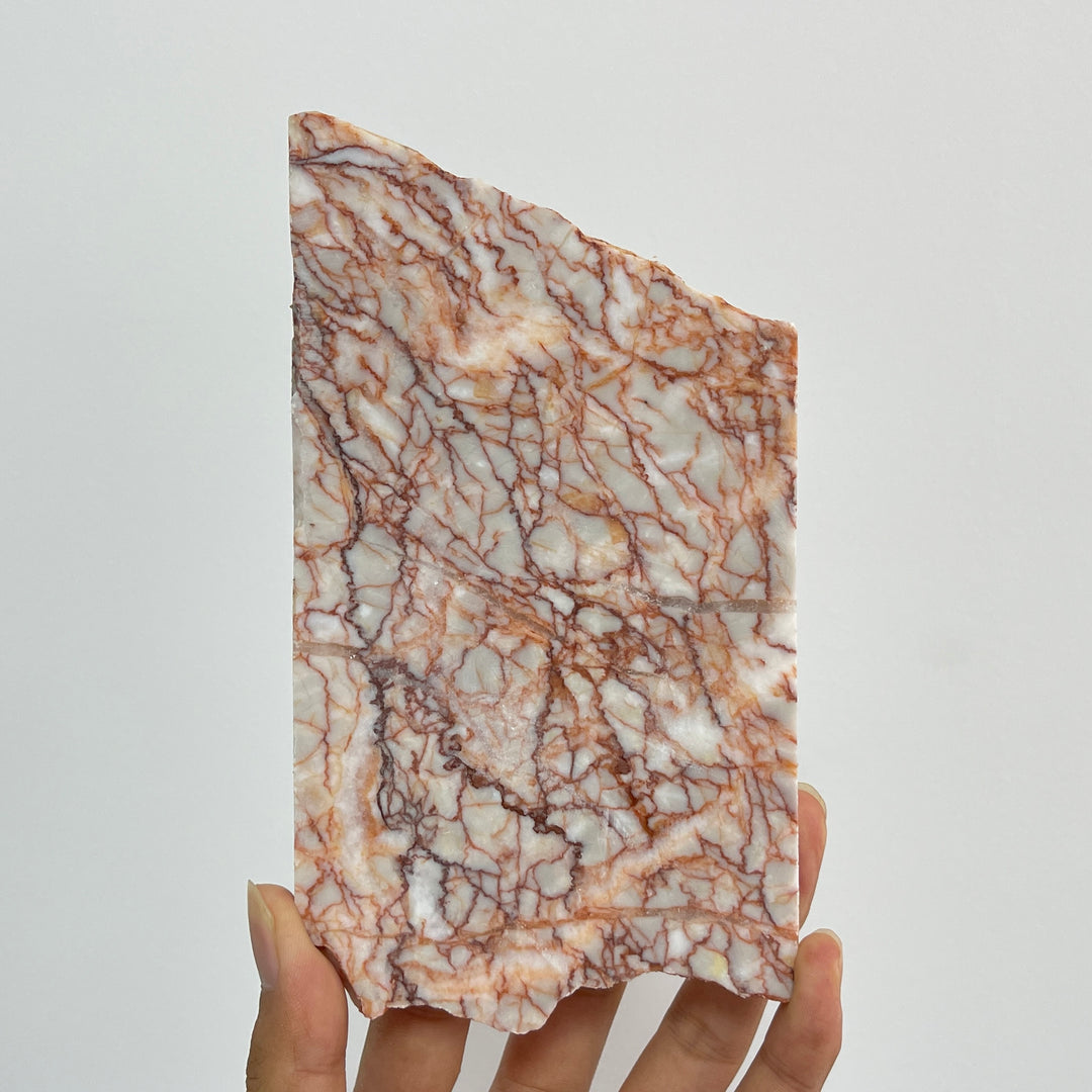 Unique,Natural Red Network Jasper Crystal Slice