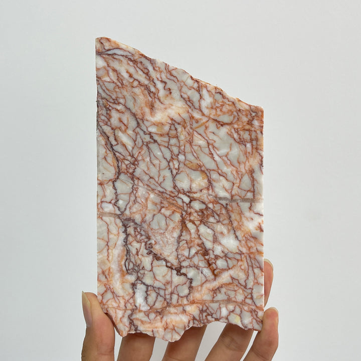 Unique,Natural Red Network Jasper Crystal Slice