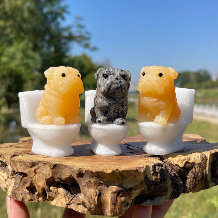 Natural Crystal Cute Dog On Toilet