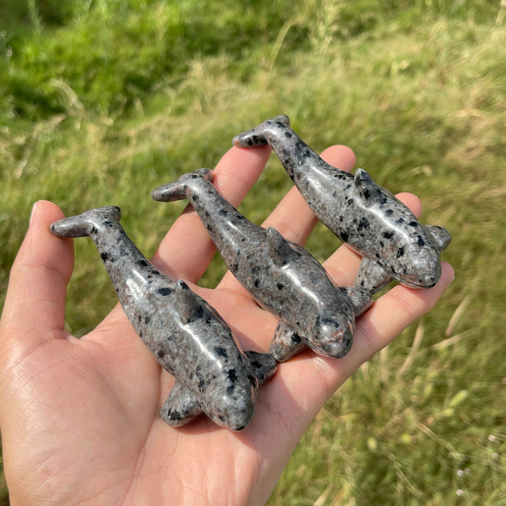 Natural Crystal Cute Orca Carving