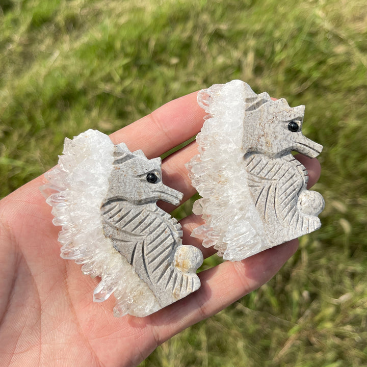 Natural Crystal Cluster Seahorse
