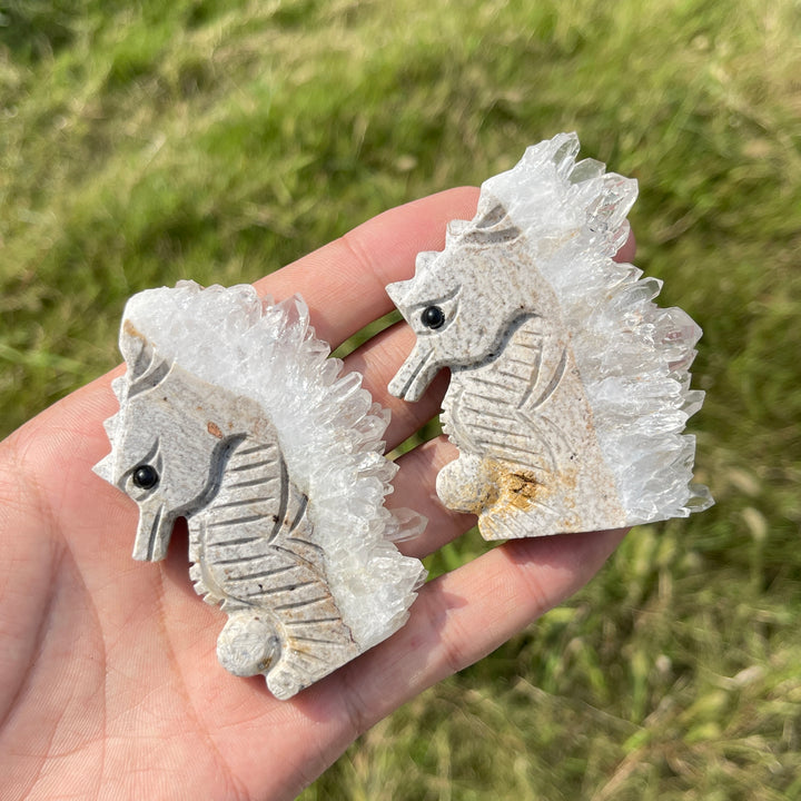 Natural Crystal Cluster Seahorse