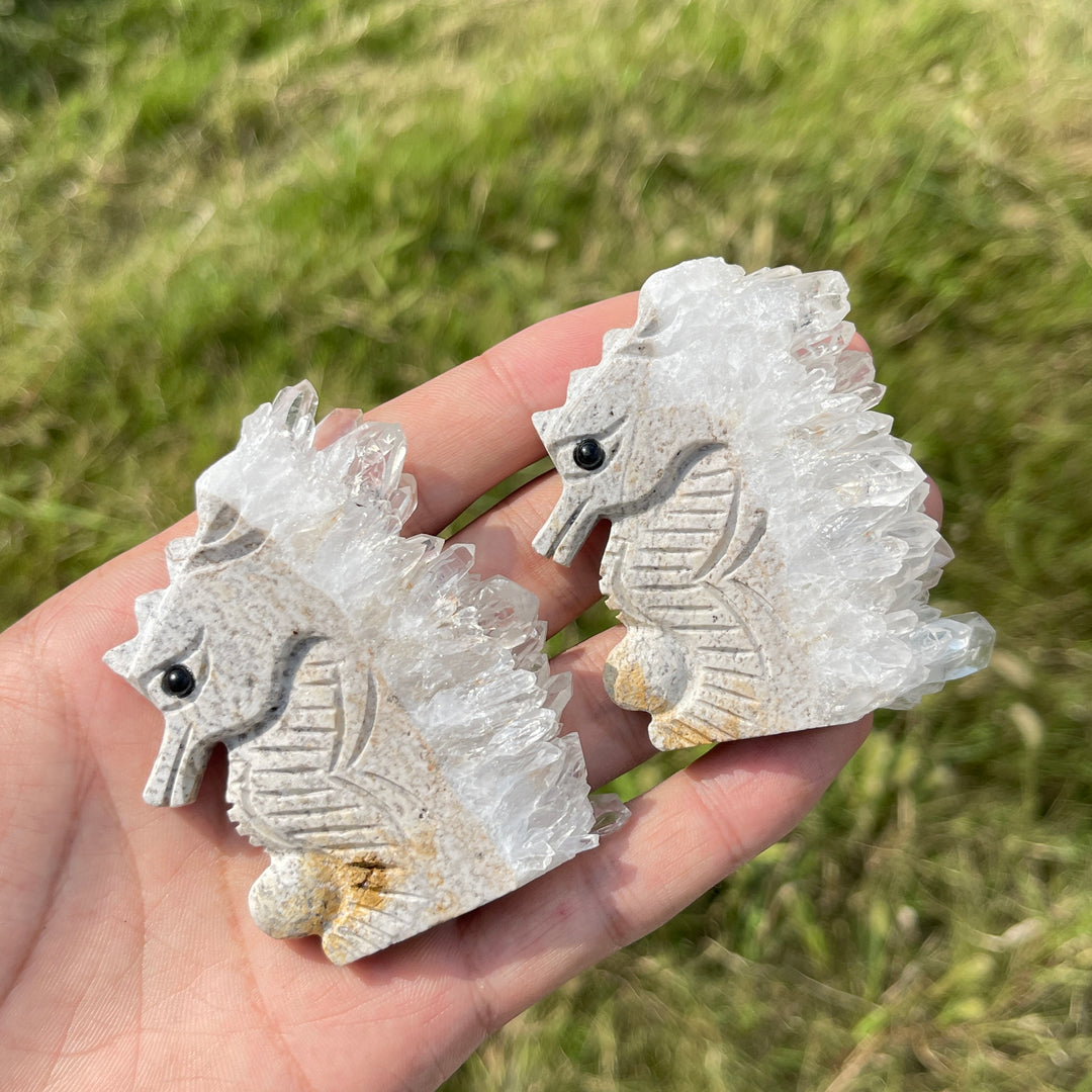 Natural Crystal Cluster Seahorse
