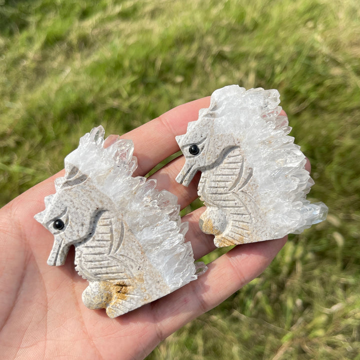 Natural Crystal Cluster Seahorse
