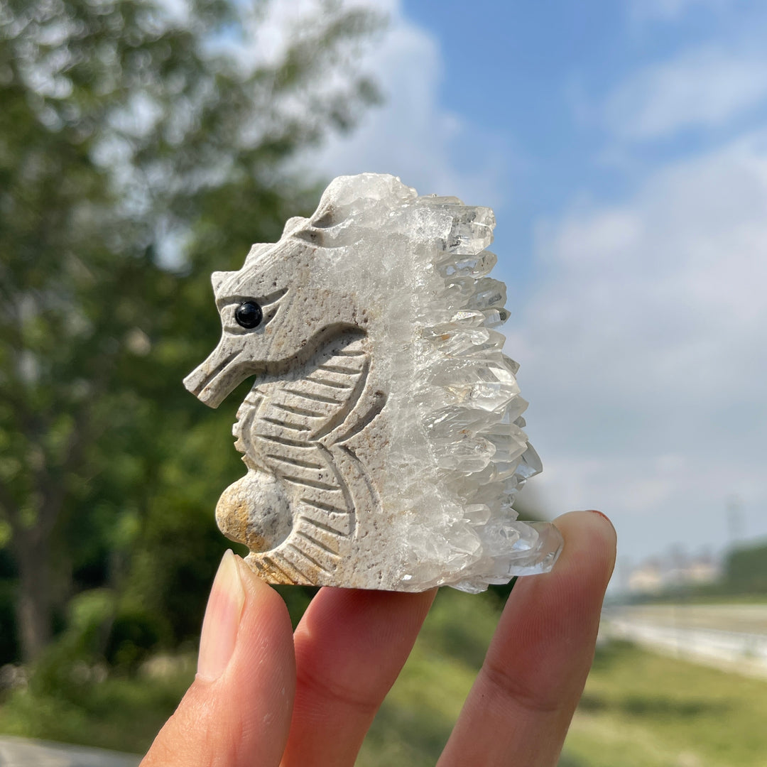 Natural Crystal Cluster Seahorse