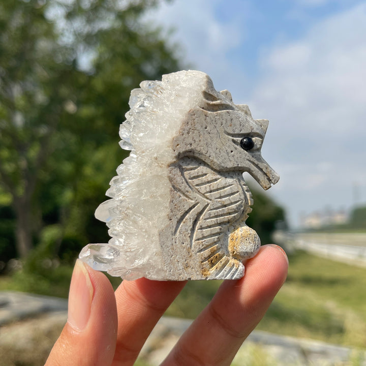 Natural Crystal Cluster Seahorse