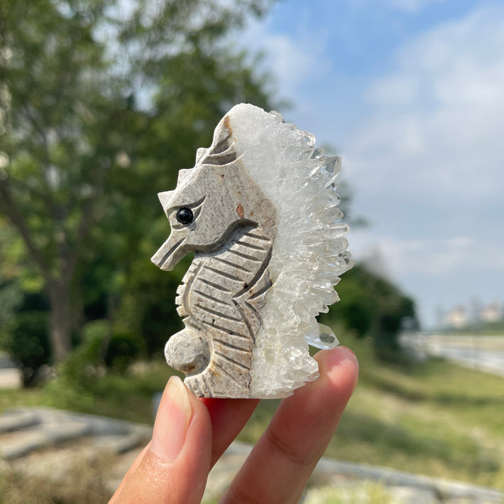 Natural Crystal Cluster Seahorse
