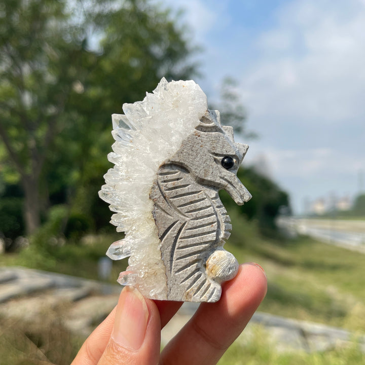 Natural Crystal Cluster Seahorse