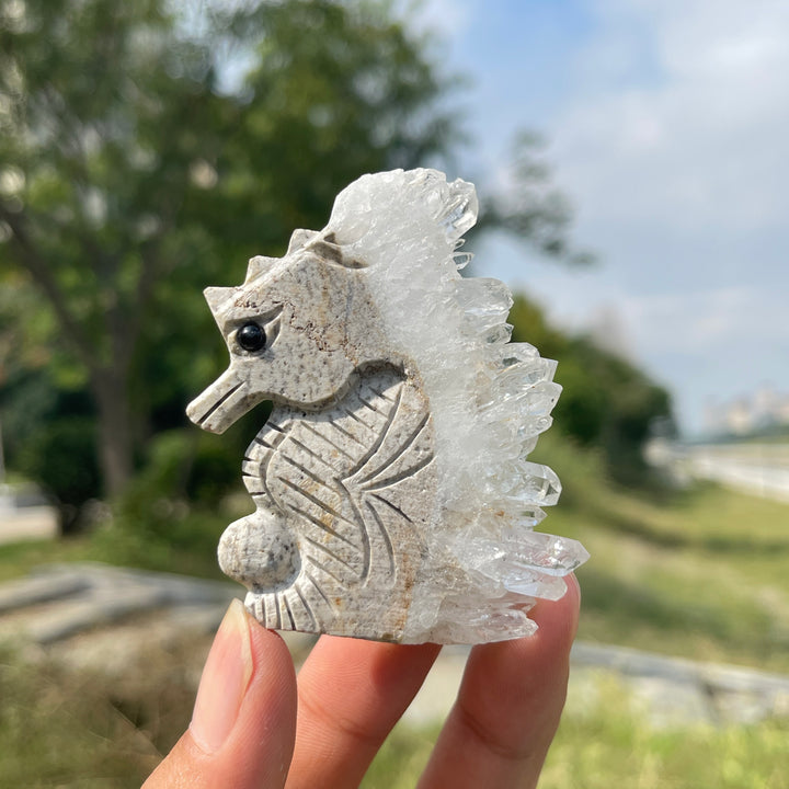 Natural Crystal Cluster Seahorse