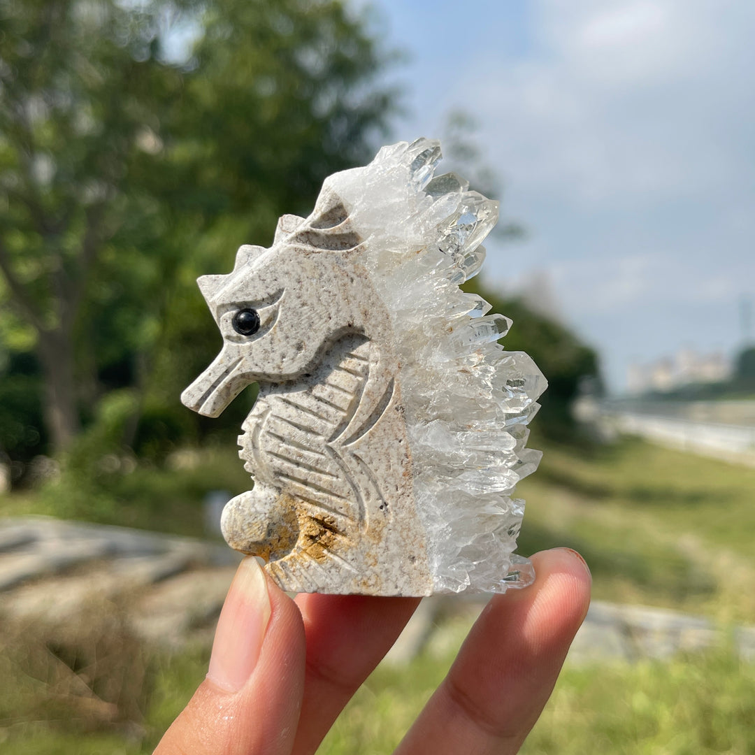 Natural Crystal Cluster Seahorse