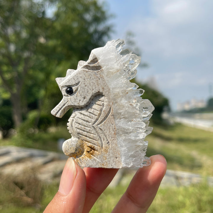 Natural Crystal Cluster Seahorse