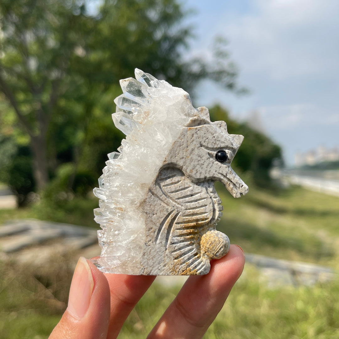 Natural Crystal Cluster Seahorse