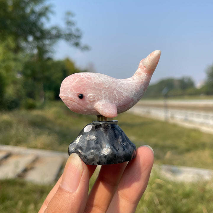 A Slightly Imperfect Natural Crystal Rotating Whale