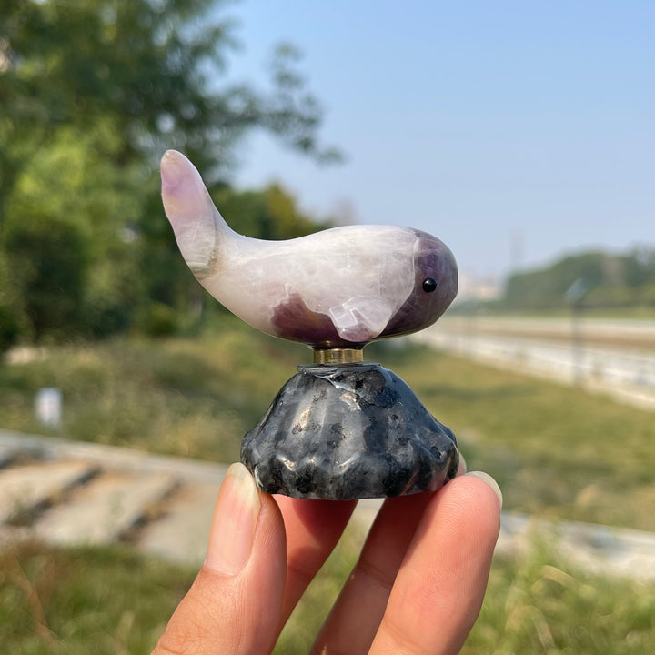 A Slightly Imperfect Natural Crystal Rotating Whale