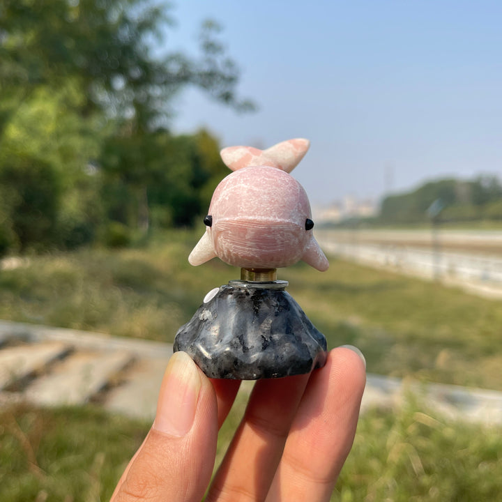 A Slightly Imperfect Natural Crystal Rotating Whale