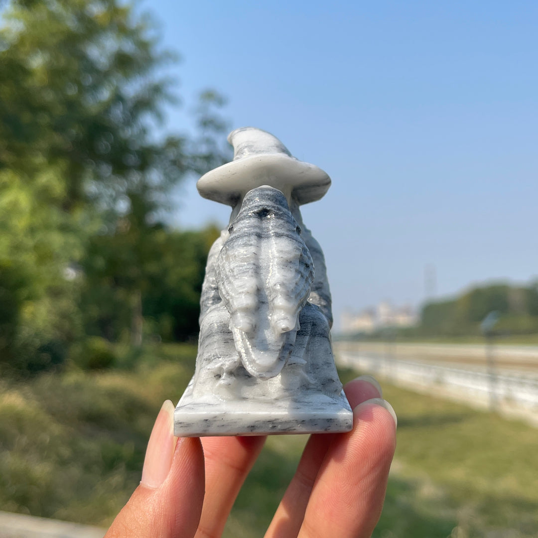 Unique,Natural Crystal Carving TaiJi Stone Witch And Raven