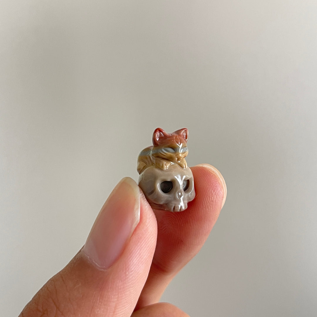 Natural Crystal Carving Alashan Agate Cat On Skull