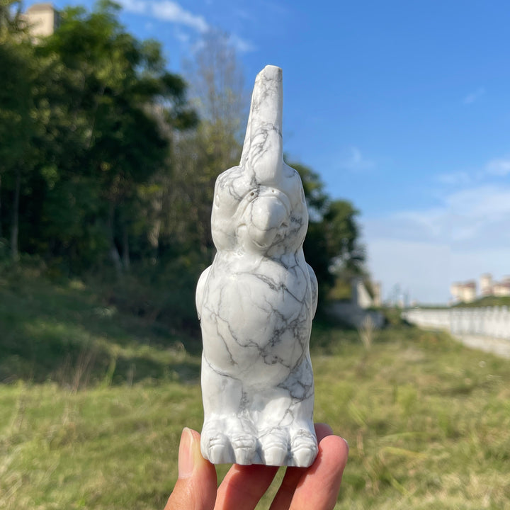 Unique,A Slightly Imperfect Natural Crystal Carving Howlite Parrot