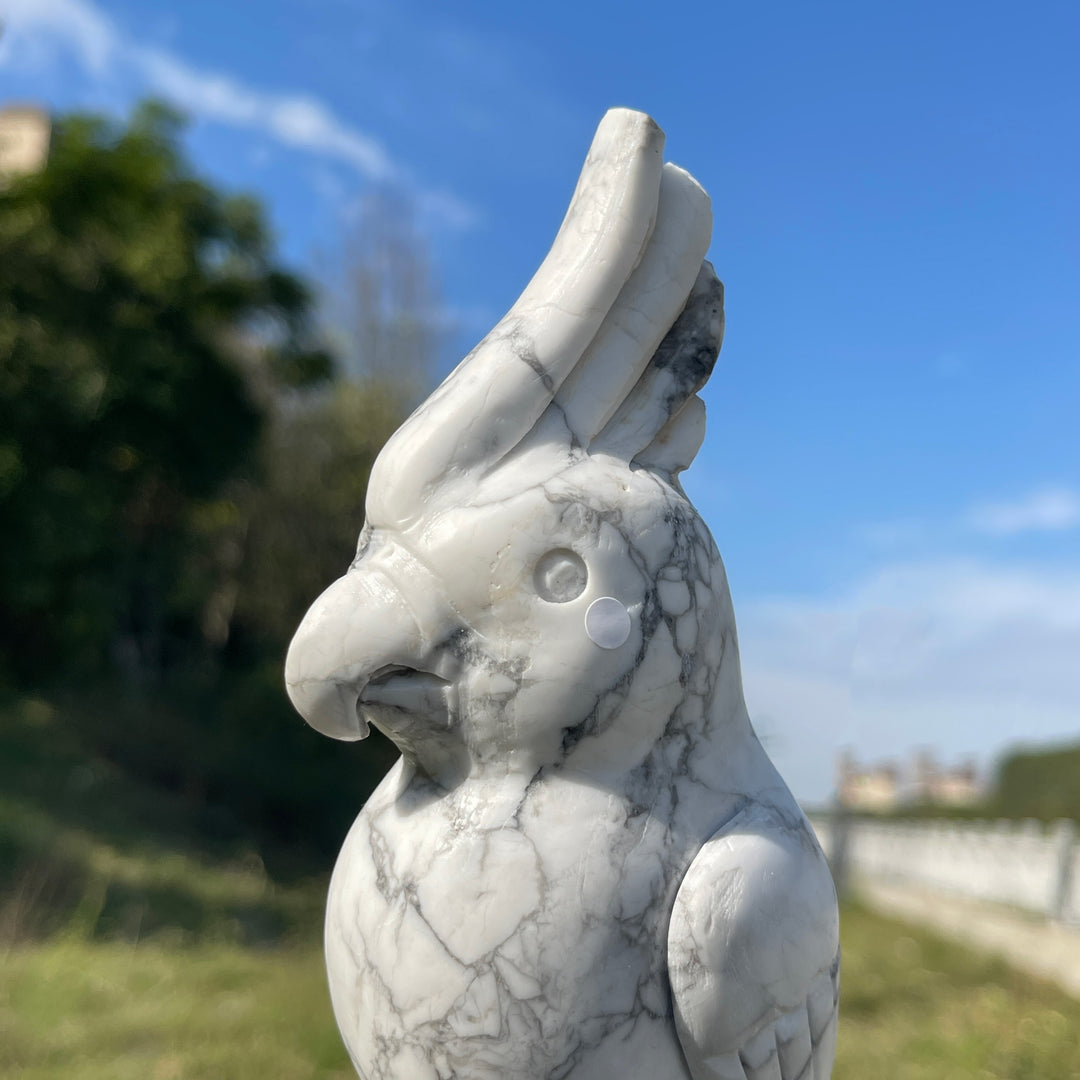 Unique,A Slightly Imperfect Natural Crystal Carving Howlite Parrot