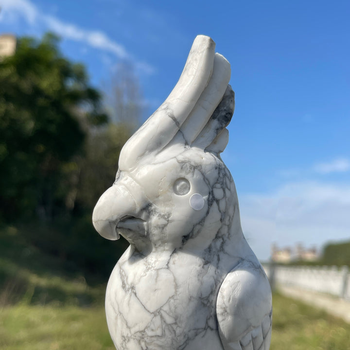 Unique,A Slightly Imperfect Natural Crystal Carving Howlite Parrot