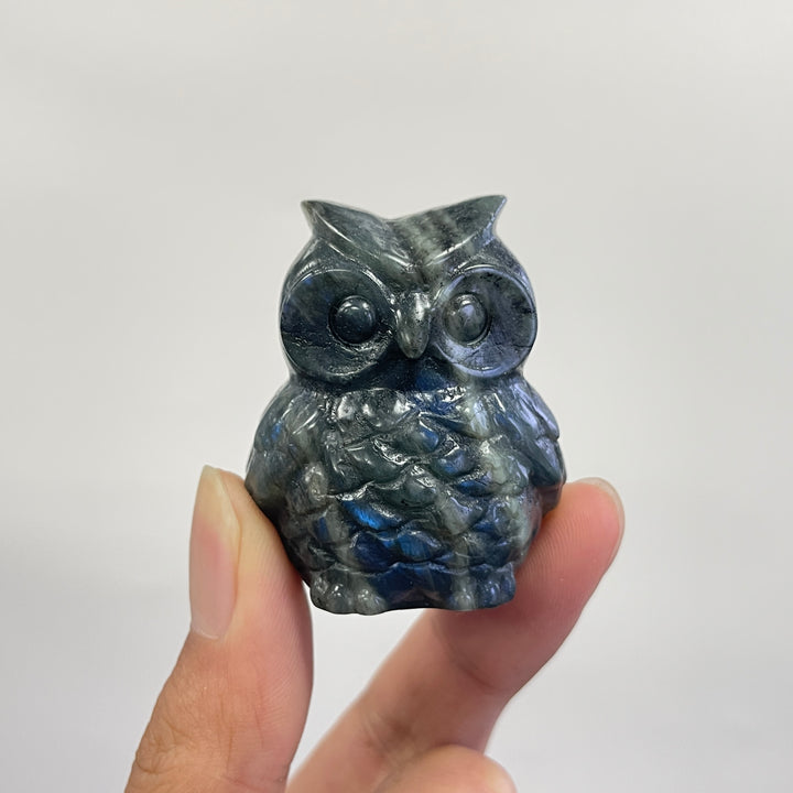 Natural Crystal Carving Cute Labradorite Chubby Owl