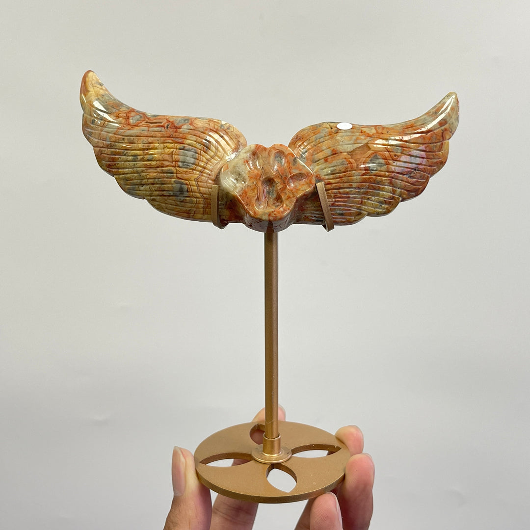 Unique,A Slightly Imperfect Natural Crystal Crazy Agate Cat Paw Wing