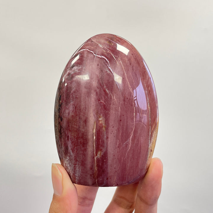 Unique,A Slightly Imperfect Natural Crystal Petrified Wood Ornament