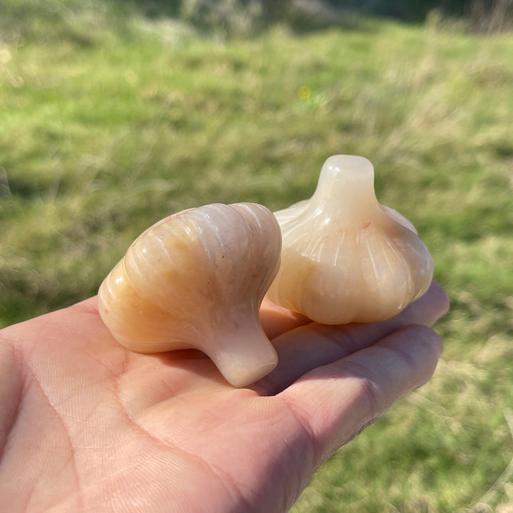 Natural Crystal Carving Quartzite Garlic Model