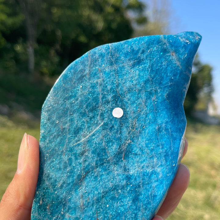 Unique,A Slightly Imperfect Natural Crystal Carving Blue Apatite Lizard