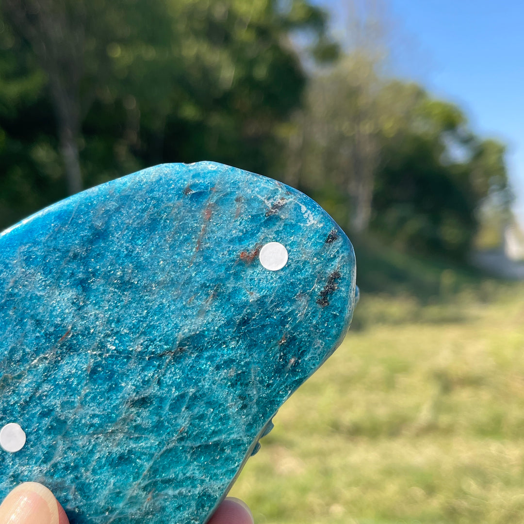 Unique,A Slightly Imperfect Natural Crystal Carving Blue Apatite Lizard