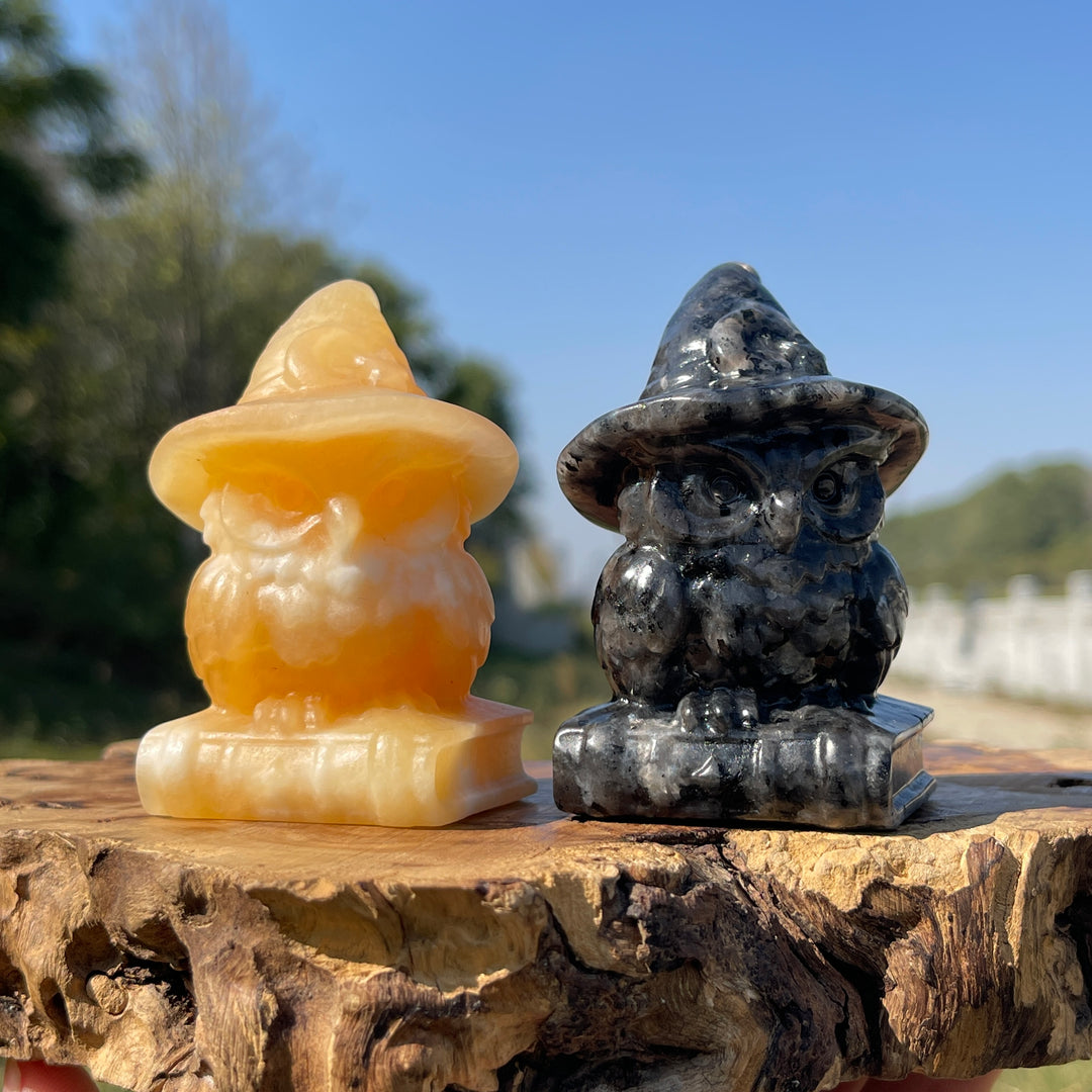 Natural Crystal Carving Wizard Owl On Book