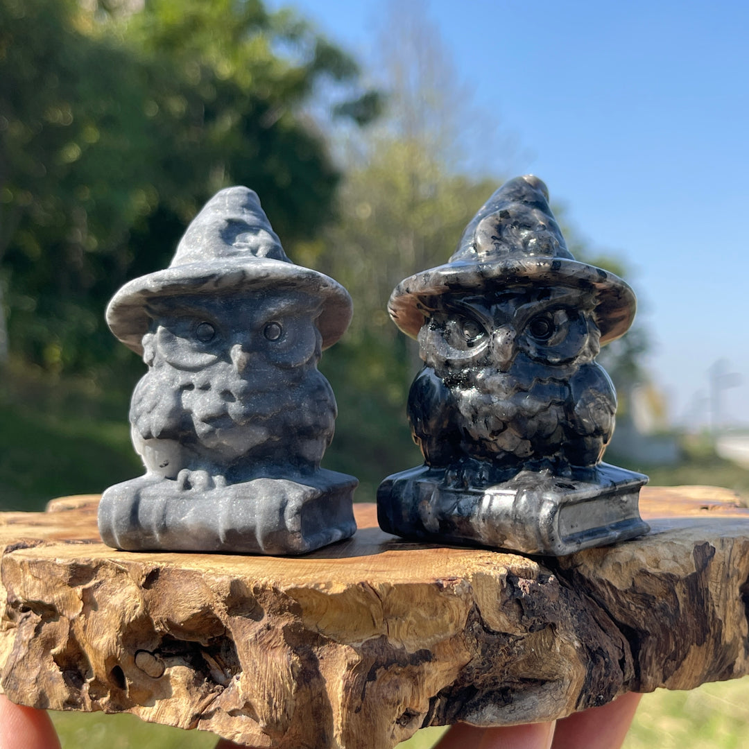 Natural Crystal Carving Wizard Owl On Book