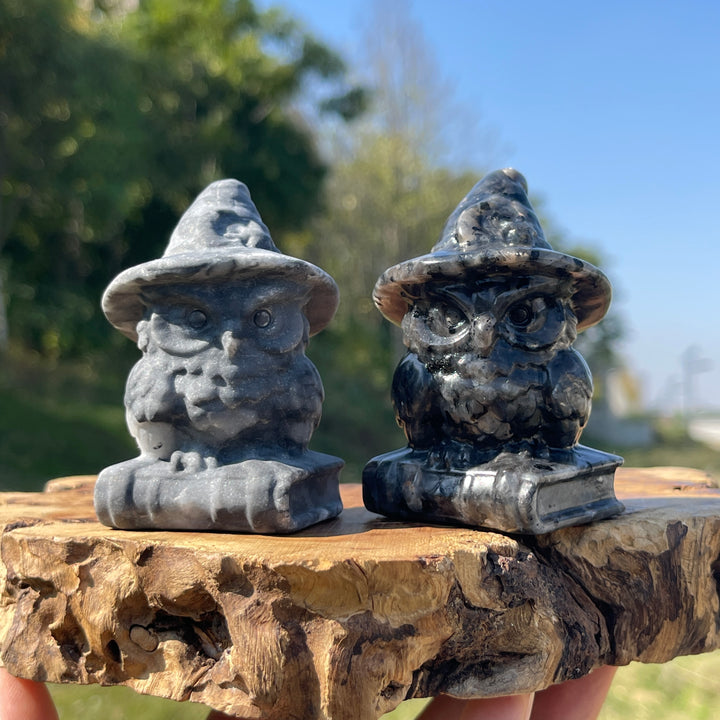 Natural Crystal Carving Wizard Owl On Book