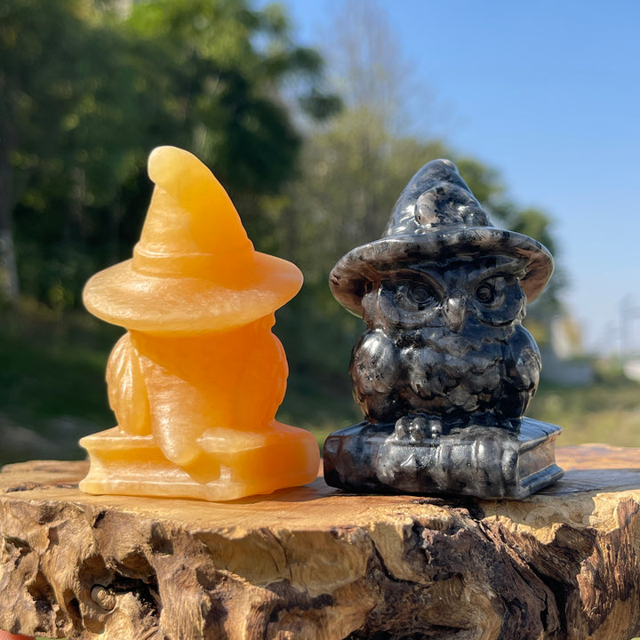 Natural Crystal Carving Wizard Owl On Book