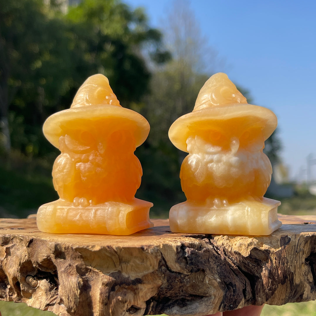 Natural Crystal Carving Wizard Owl On Book