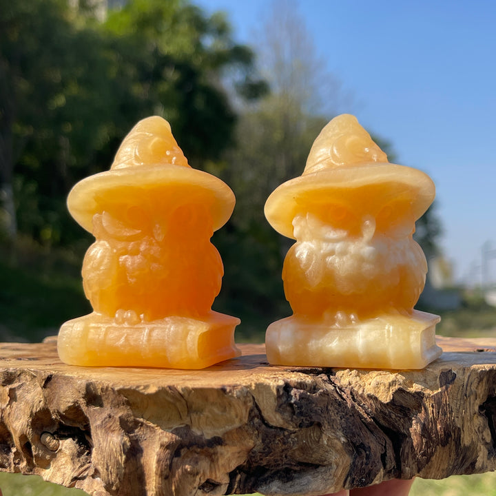 Natural Crystal Carving Wizard Owl On Book