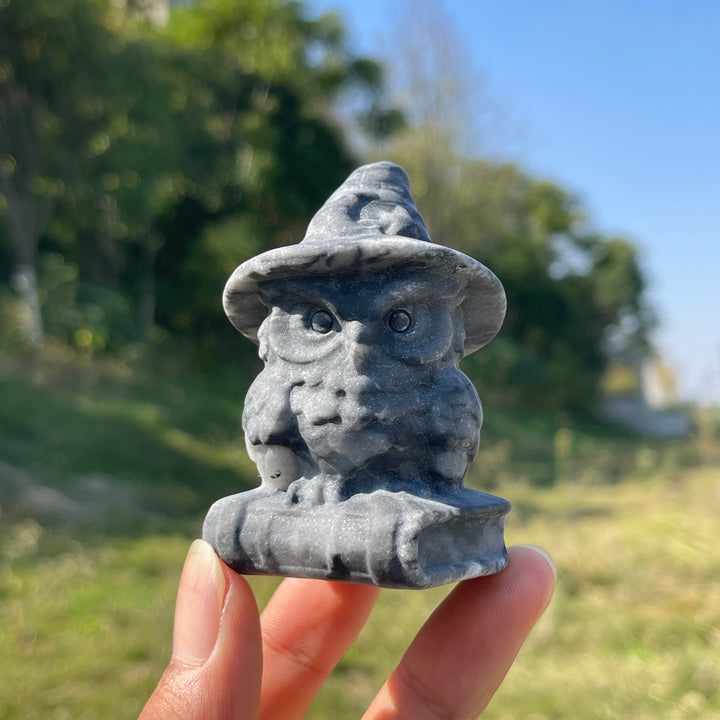 Natural Crystal Carving Wizard Owl On Book