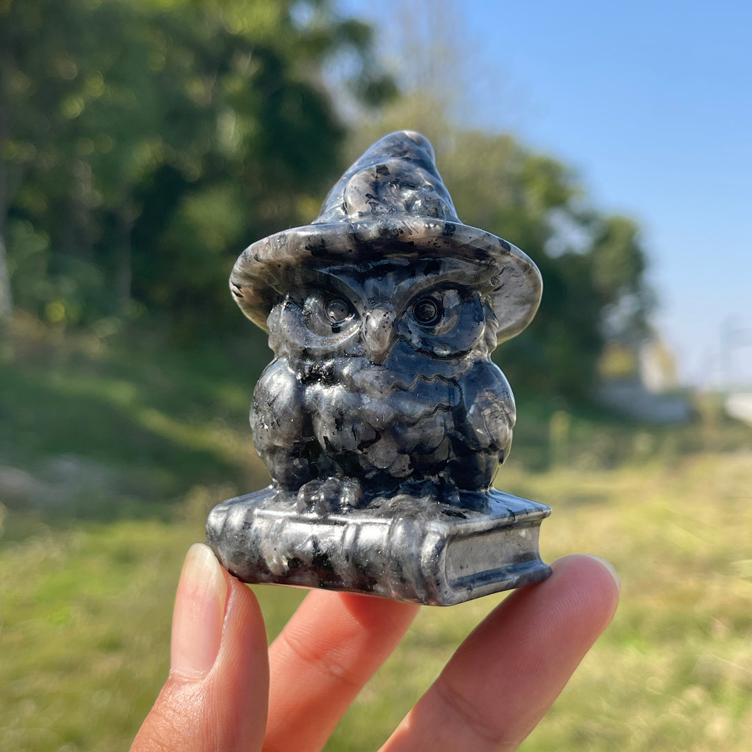 Natural Crystal Carving Wizard Owl On Book