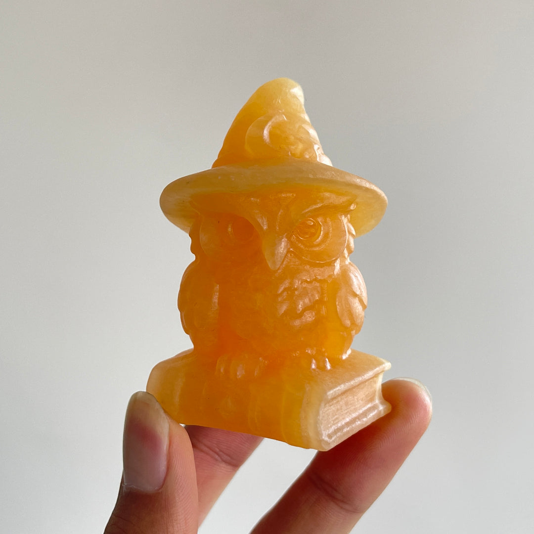 Natural Crystal Carving Wizard Owl On Book