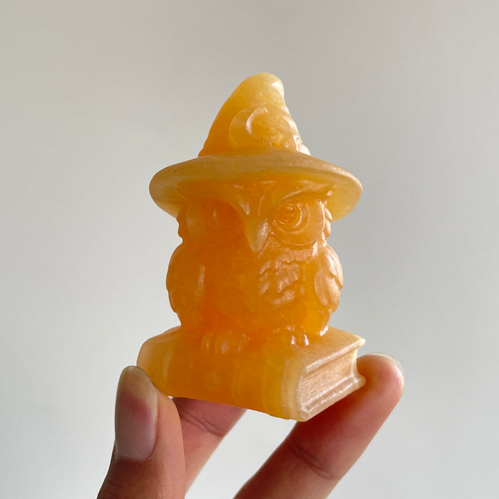 Natural Crystal Carving Wizard Owl On Book