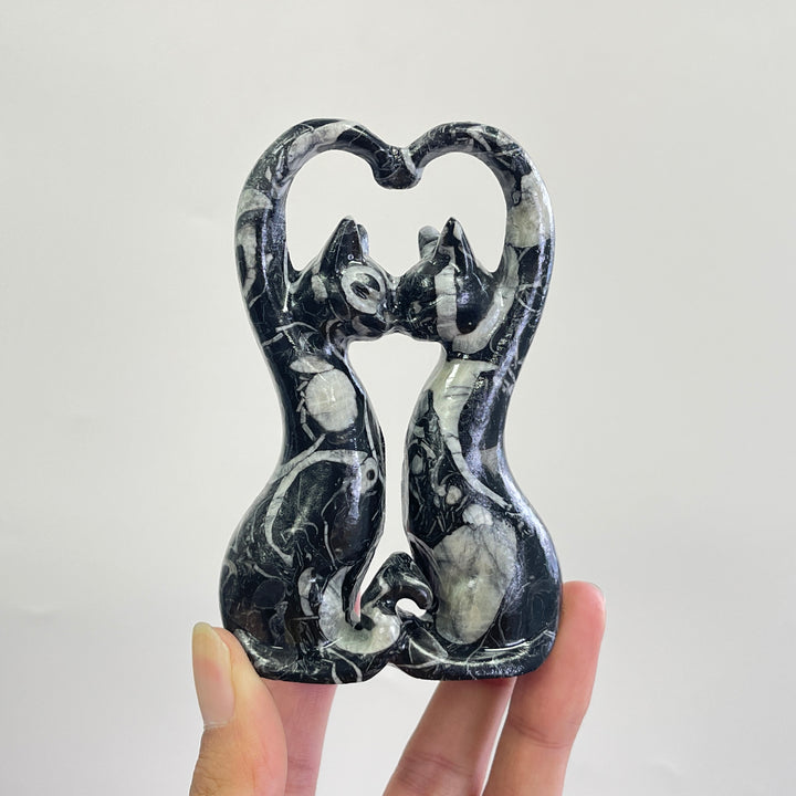 Natural Crystal Carving Shell Fossil Loving Couple Cats