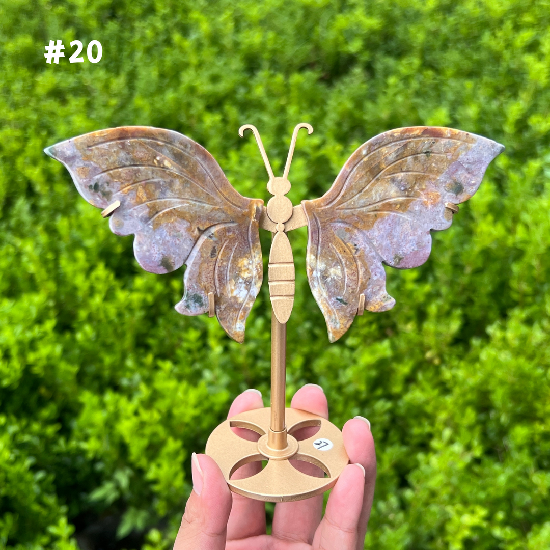 Ocean Jasper Butterfly