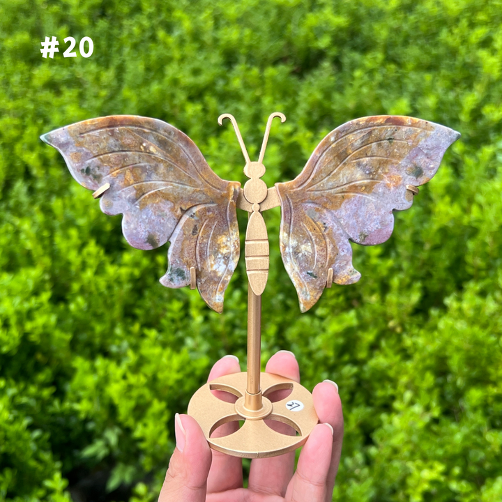 Ocean Jasper Butterfly
