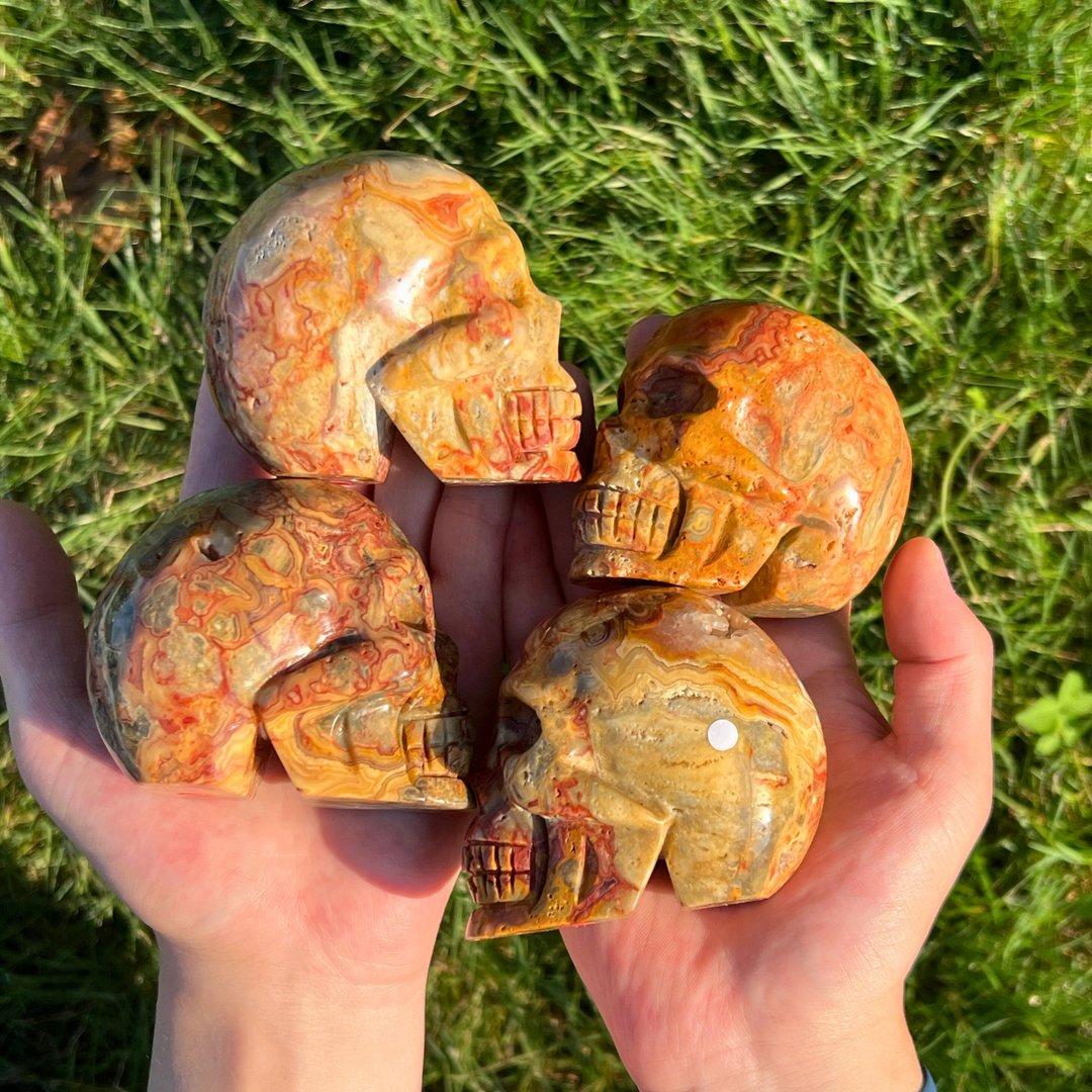Unique,Crazy Lace Agate Skull