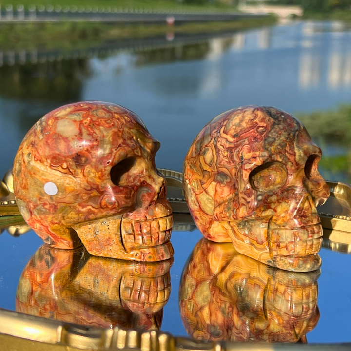 Unique,Crazy Lace Agate Skull