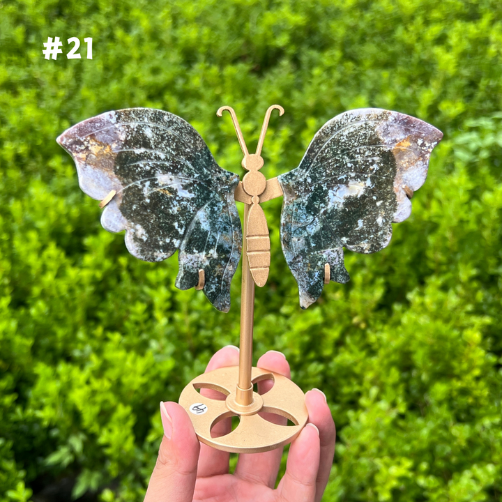 Ocean Jasper Butterfly